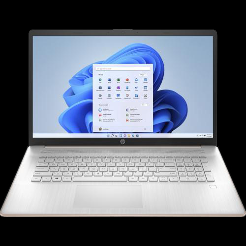 HP Pavilion 17.3" Laptop Intel Celeron N4120 4GB RAM 256GB SSD Pale Rose Gold